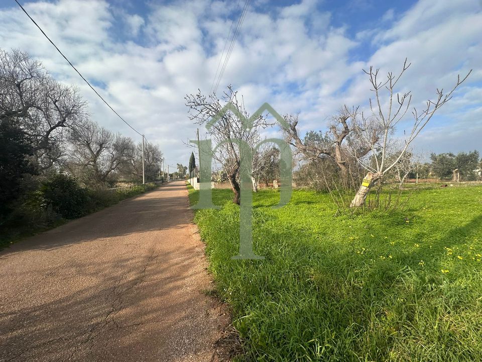 Helårsgrund i San Vito dei Normanni, Brindisi - foto 2
